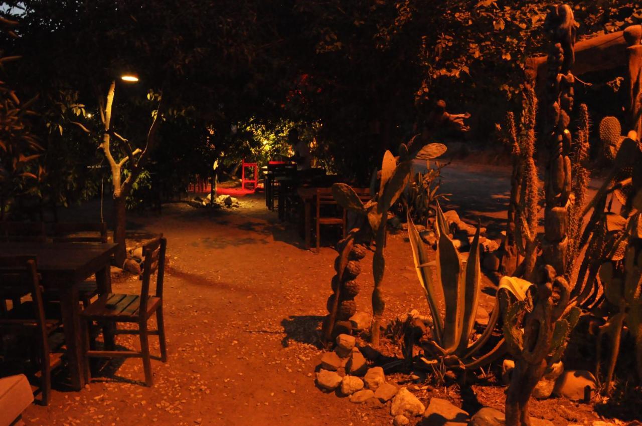 Lüks kamp alanı Cafe Cactus Camping *